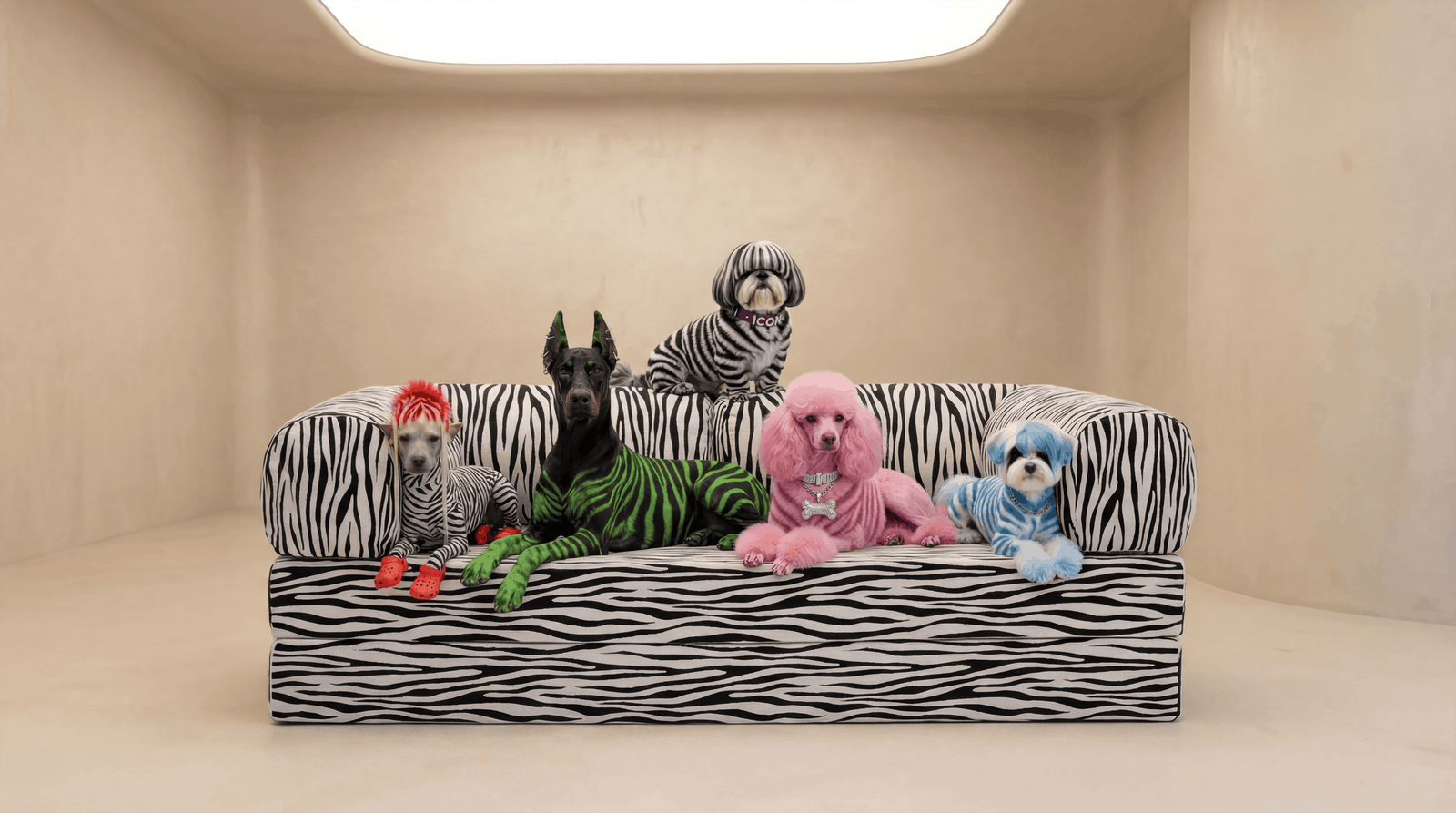 Image description not available